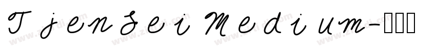 TjenLei Medium字体转换